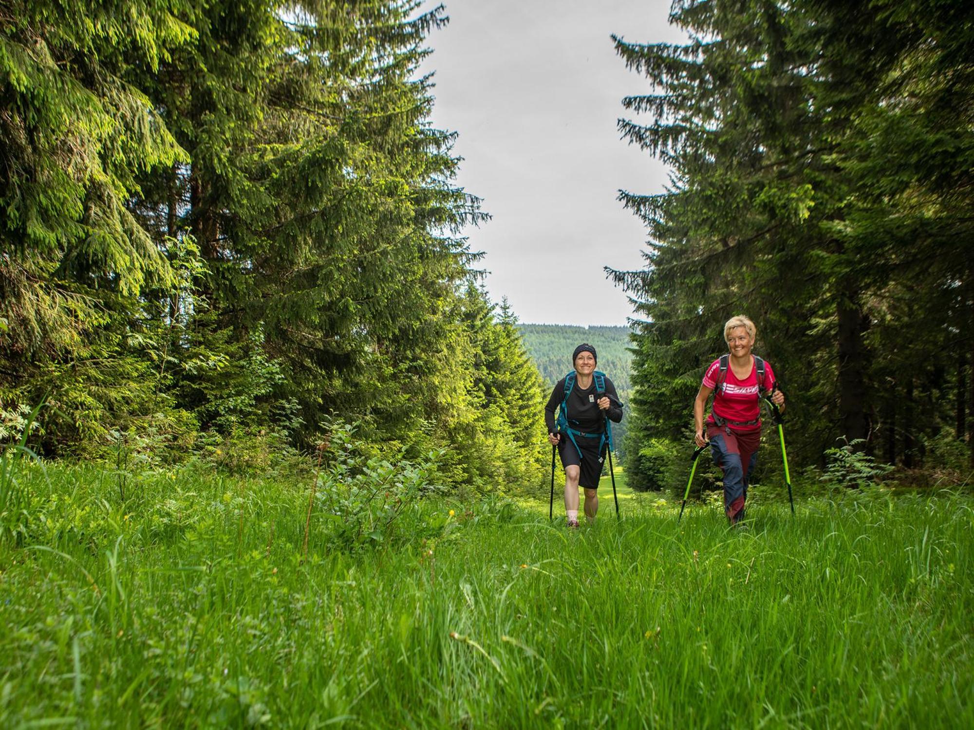 K1 Sporthotel - Bike & Ski Inklusive Hotel Oberwiesenthal Εξωτερικό φωτογραφία