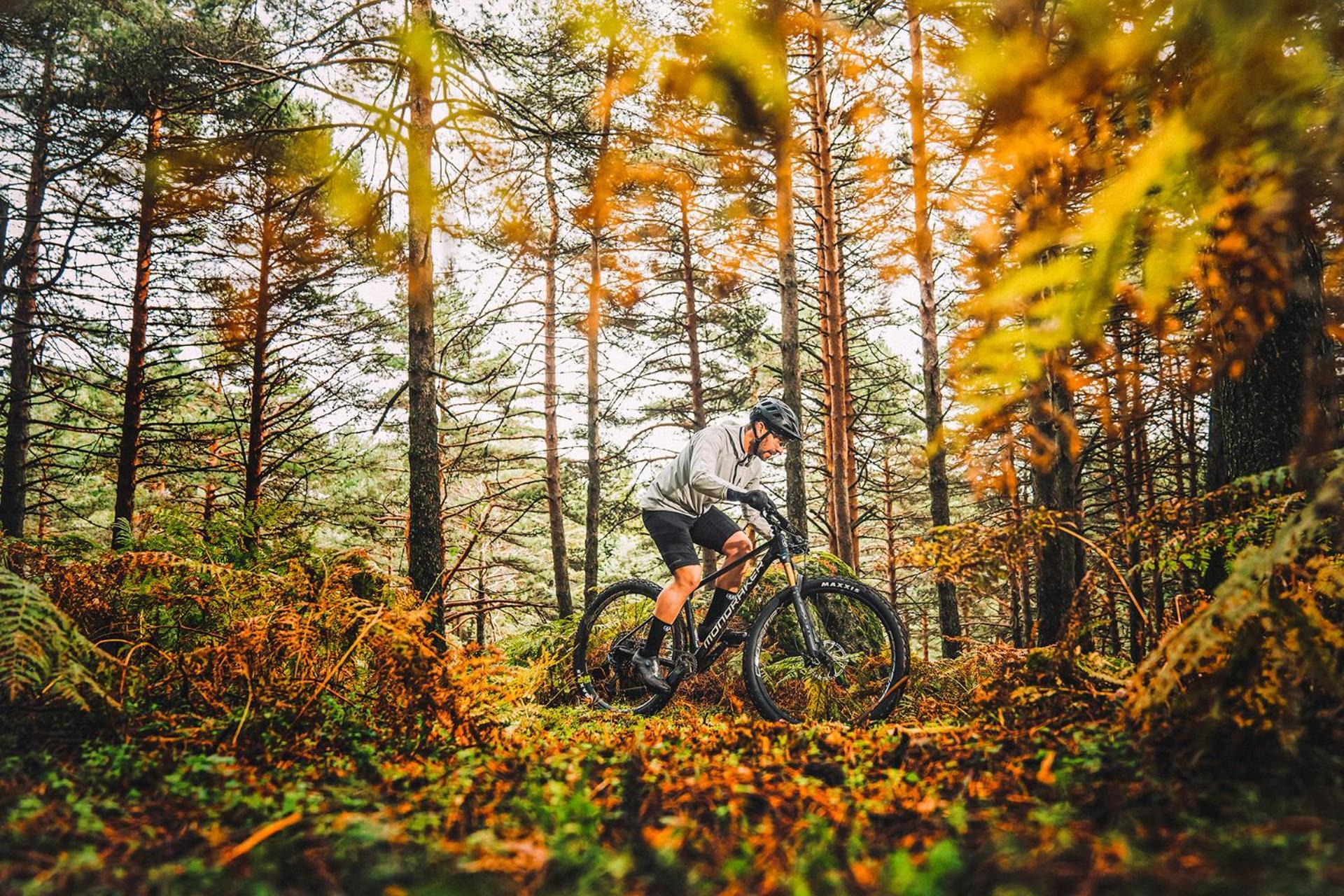 K1 Sporthotel - Bike & Ski Inklusive Hotel Oberwiesenthal Εξωτερικό φωτογραφία